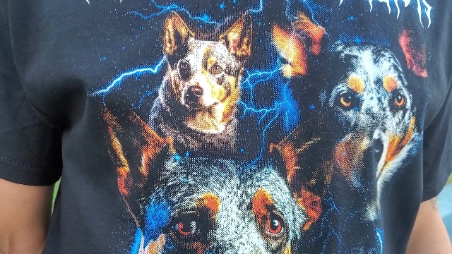 Amazon.com: Heavy Metal Blue Heeler 80s 90s for Blue Heeler Lover
